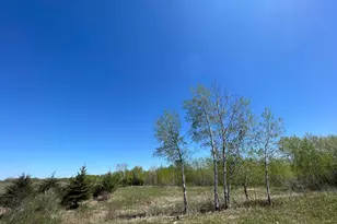 408Xx Tiger Street NW, Milaca, MN 56353 - Photo 1