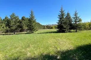 Lot 2 - Tbd 330th St, Warroad, MN 56763 - Photo 1