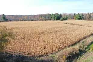 Xxx Lara Rd, Grantsburg, WI 54840 - Photo 1