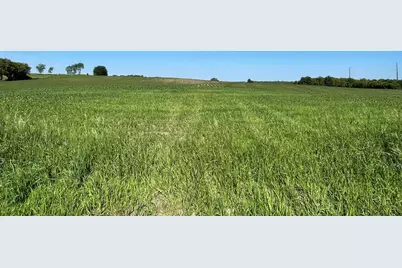 Xxxx New Haven (Site 19) Rd NW, Pine Island, MN 55963 - Photo 1