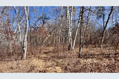 Tbd Forest Pines Drive, Nevis, MN 56467 - Photo 1
