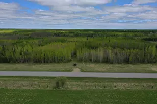 2425 Hwy 217, Ray, MN 56669 - Photo 1