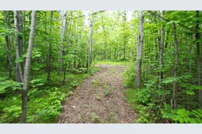 Parcel D Ticonderoga Trail, Hackensack, MN 56452 - Photo 1