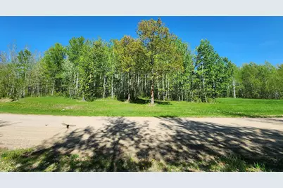 Tbd Bear Tract Lane NE, Longville, MN 56655 - Photo 1