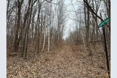 Lots 51-53, 55, 61 Grouse Pass, Randall, MN 56475 - Photo 1