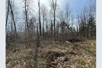 14Xxx Birchwood Trail, Pine City, MN 55063 - Photo 1