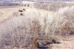 Xxxxx 165th Ave SE, Becker Township, MN 55308 - Photo 1