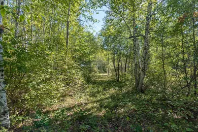 Tbd Tract D Little Pine Road, Brainerd, MN 56401 - Photo 1