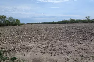 Xxx State 27, Long Prairie, MN 56347 - Photo 1