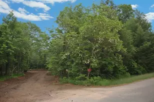 29007 Pardun Rd, Danbury, WI 54830 - Photo 1