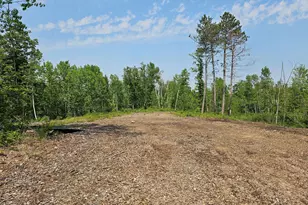 Tbd County Road 106, Aitkin, MN 56431 - Photo 1