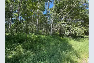 Tbd Cedar Street, Breezy Point, MN 56472 - Photo 1