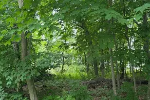 Xxx 170th Ave, Balsam Lake, WI 54824 - Photo 1