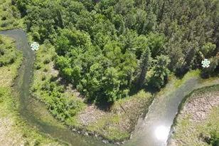 Abc Falling Leaf Trail, Park Rapids, MN 56470 - Photo 1