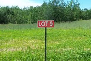 Lot 9 Maple Ln, Siren, WI 54872 - Photo 1