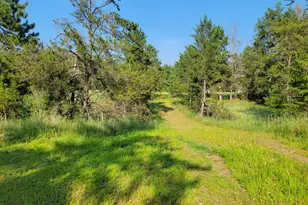 4131 Overland Cir, Danbury, WI 54893 - Photo 1