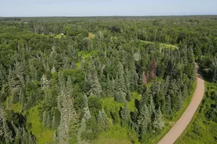 14727 Sprandel Rd, Wagner Township, MN 55735 - Photo 1