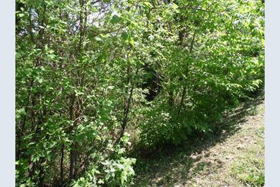 Lot #37 Ridgewood Road, Sparta, NC 28675 - Photo 8