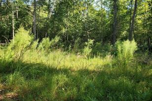 652 Johnson Ridge Rd, Elkin, NC 28621 - Photo 20