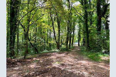 00 Jackson Road #8.64 Ac, Mount Airy, NC 27030 - Photo 8