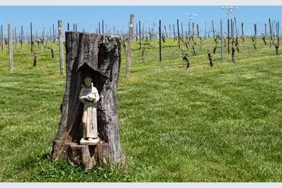 318 Elkin Creek Mill Road, Elkin, NC 28621 - Photo 30