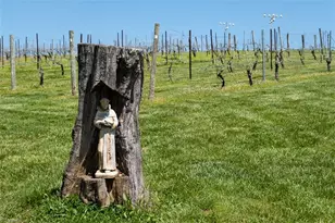 318 Elkin Creek Mill Rd, Elkin, NC 28621 - Photo 30