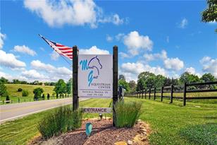 181 Equus Loop, Natural Bridge, VA 24578 - Photo 44