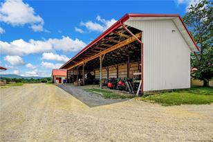 181 Equus Loop, Natural Bridge, VA 24578 - Photo 42