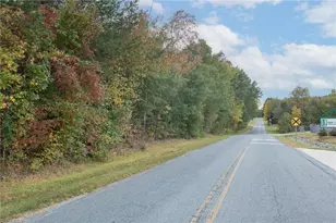 6988 Kinro Rd, Liberty, NC 27298 - Photo 16