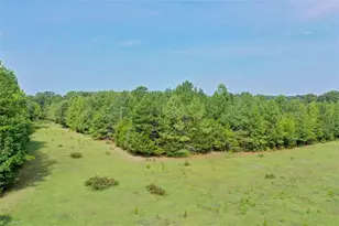 6972 Bowman Dairy Rd, Liberty, NC 27298 - Photo 8