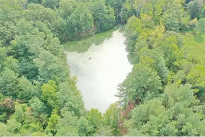 6972 Bowman Dairy Road, Liberty, NC 27298 - Photo 32