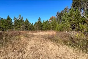 00 E Morehead St, Reidsville, NC 27320 - Photo 22