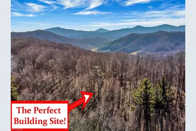 Tbd Roaring Branch Road, Lansing, NC 28643 - Photo 4