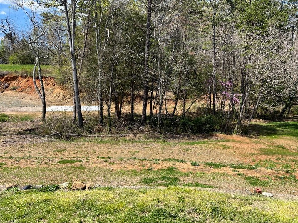 146 Conrad Rd, Lewisville NC  27023-9403 exterior