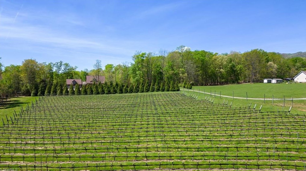 267 Devotion Farm Way, Thurmond, NC 28683-8142