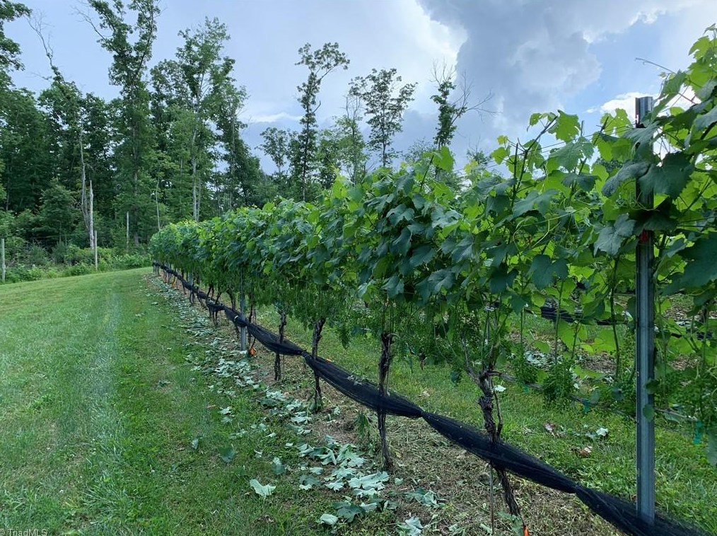 267 Devotion Farm Way, Thurmond NC 28683-8149 exterior