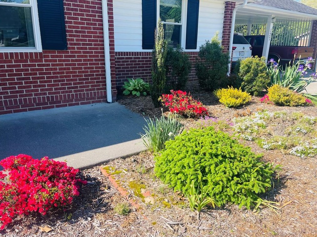 127 Pineview Dr, Mount Airy NC 27030-5145 exterior