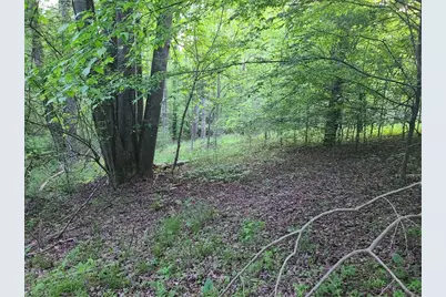 Lot 15 Williams Farm Road, Wilkesboro, NC 28697 - Photo 10