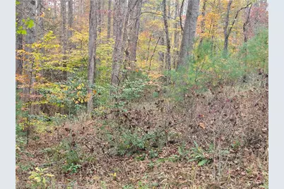 Lot 15 Williams Farm Road, Wilkesboro, NC 28697 - Photo 20