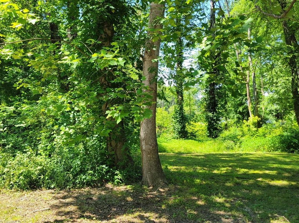 453 Riverview Ln, Lexington, NC 27292-8853