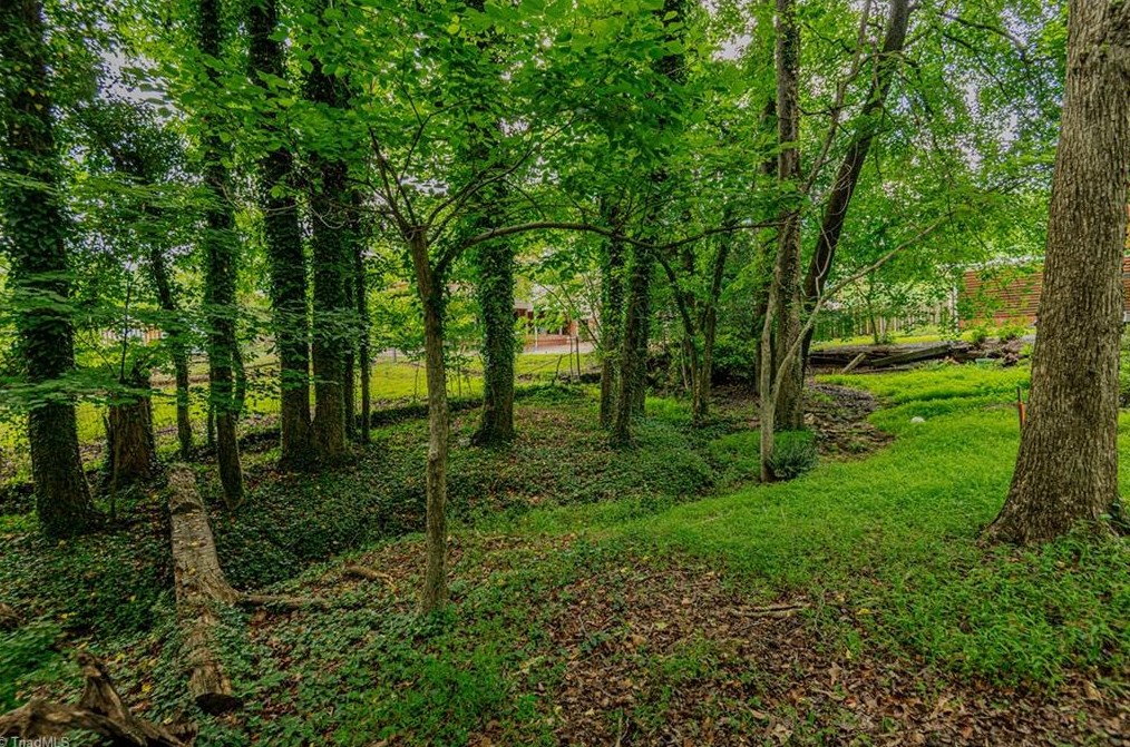 217 Pineridge Dr, High Point NC  27262-8207 exterior