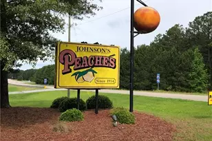 1348 Tabernacle Church Rd, Candor, NC 27229 - Photo 2