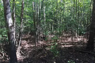 00 & 000 Terrell St, Mebane, NC 27302 - Photo 6