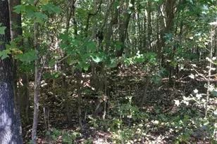 00 & 000 Terrell St, Mebane, NC 27302 - Photo 2