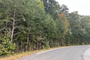 0 Cornelius Rd, Rockwell, NC 28138 - Photo 4