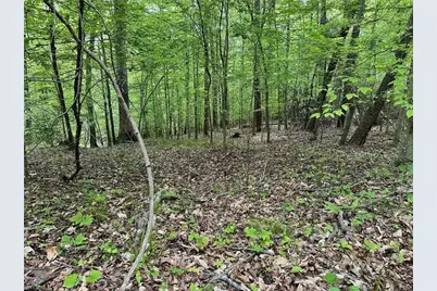 0 Windchester Lane, Blanch, NC 27212 - Photo 12