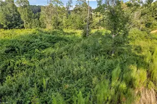 Lot 24 Regal Oaks Dr, Wilkesboro, NC 28697 - Photo 1