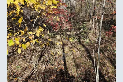 00 Jackson Road, Westfield, NC 27053 - Photo 12