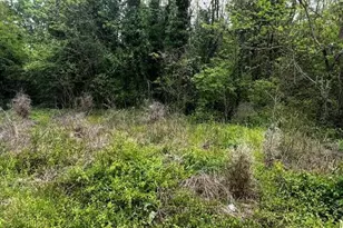 Lot 1 S 12th Ave, Mayodan, NC 27027 - Photo 1