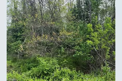 Lot 1 S 12th Avenue, Mayodan, NC 27027 - Photo 2